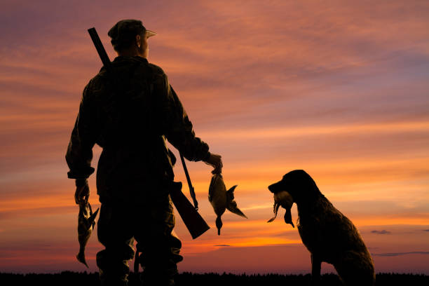 man dog silhouette hunting